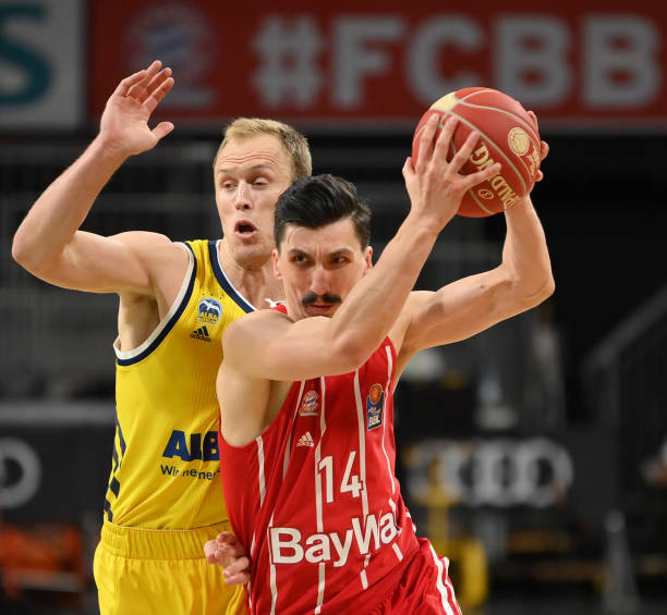 分别是XX 分别是XX